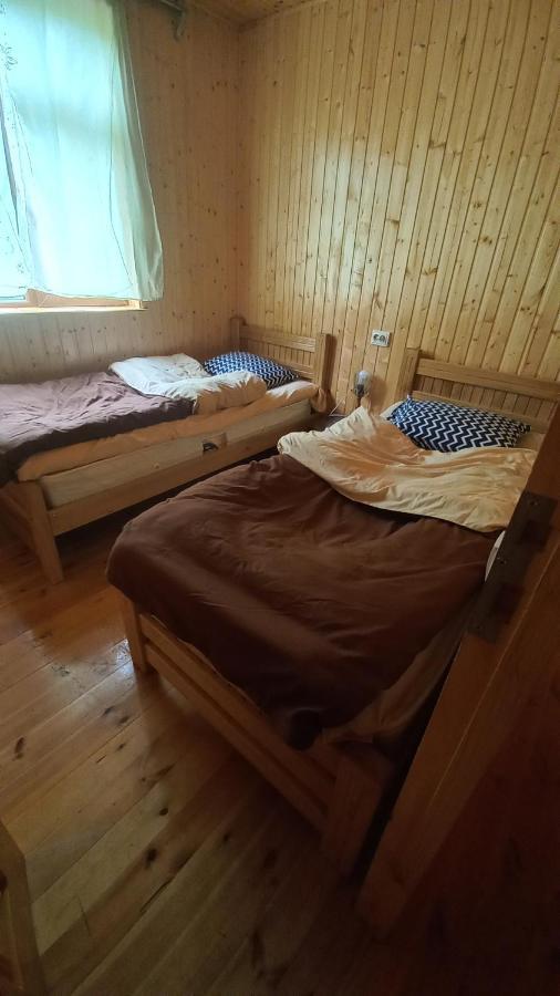 Guest House Elisabeth Adishi المظهر الخارجي الصورة