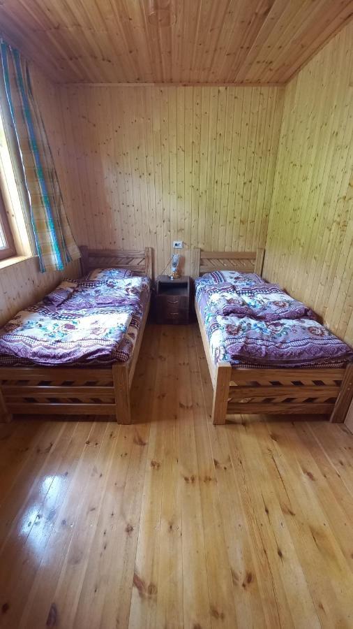 Guest House Elisabeth Adishi المظهر الخارجي الصورة