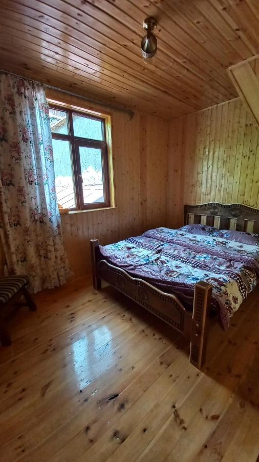 Guest House Elisabeth Adishi المظهر الخارجي الصورة