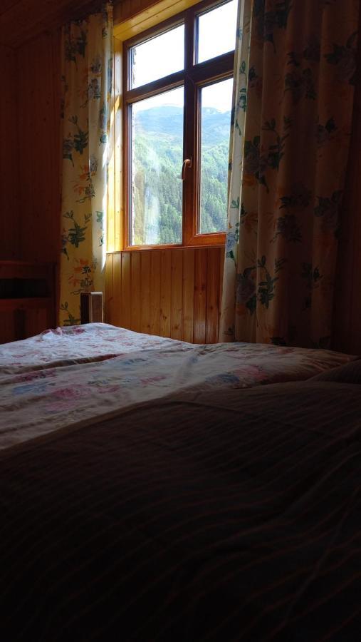 Guest House Elisabeth Adishi المظهر الخارجي الصورة