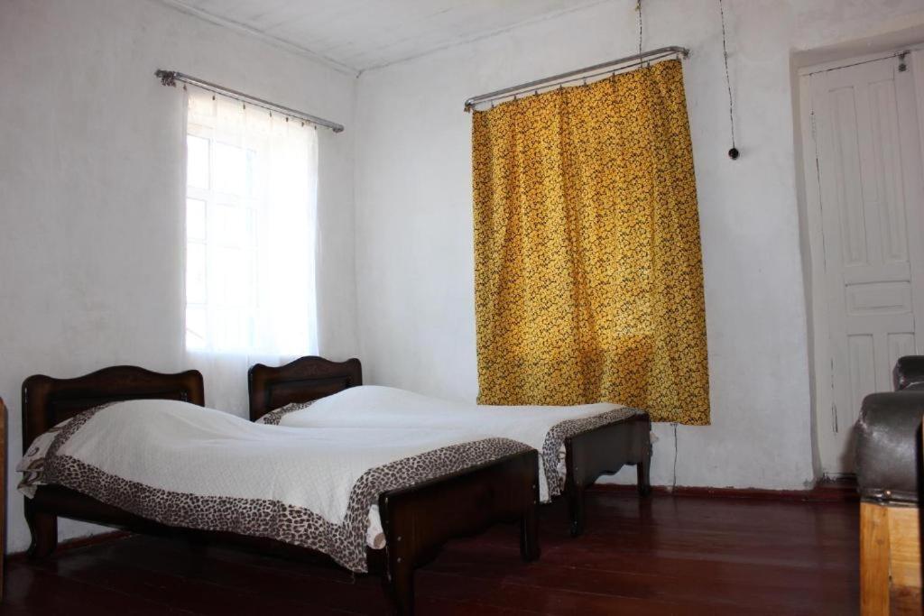 Guest House Elisabeth Adishi المظهر الخارجي الصورة